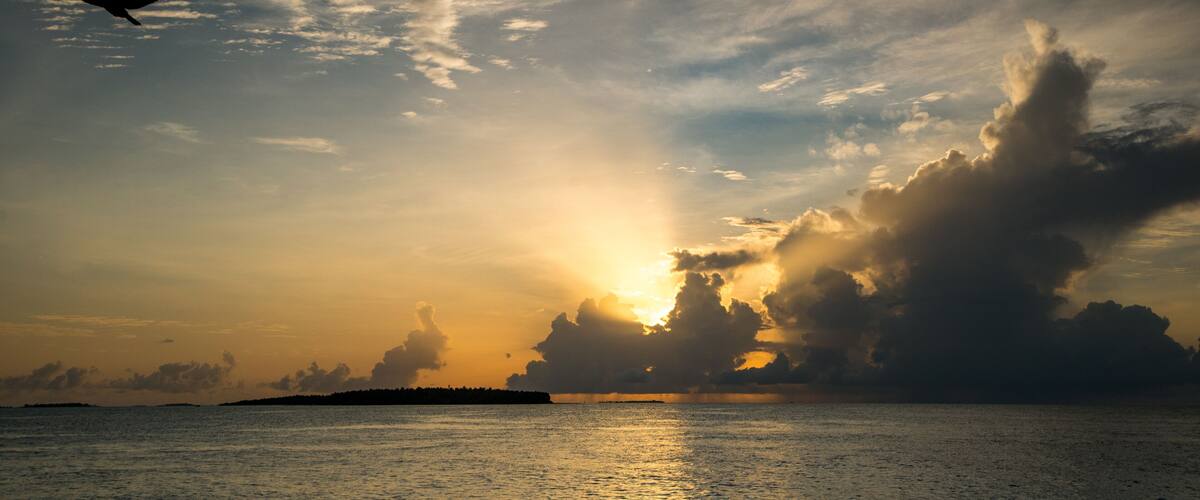 A sunset over a body of water with clouds and a bird flying.