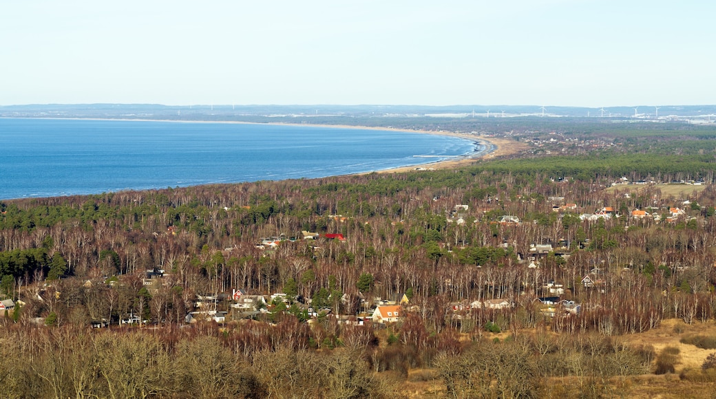 Skummesloevsstrand