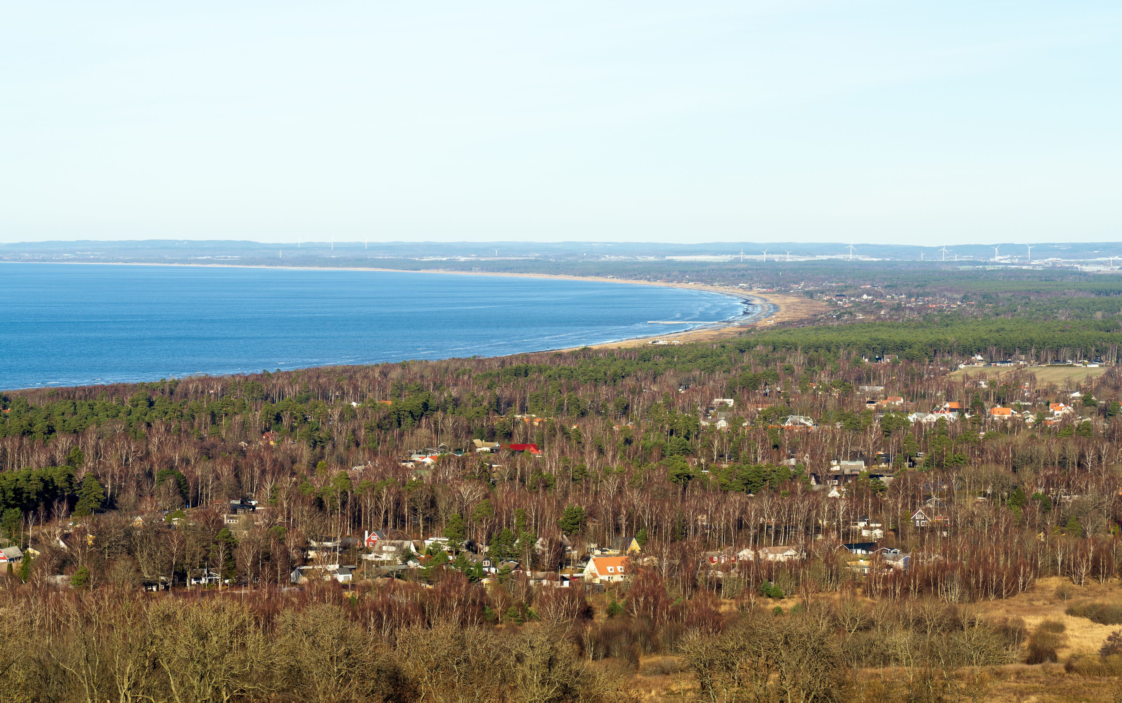 A coastal landscape with a forested area, houses, and wind turbines in the distance.