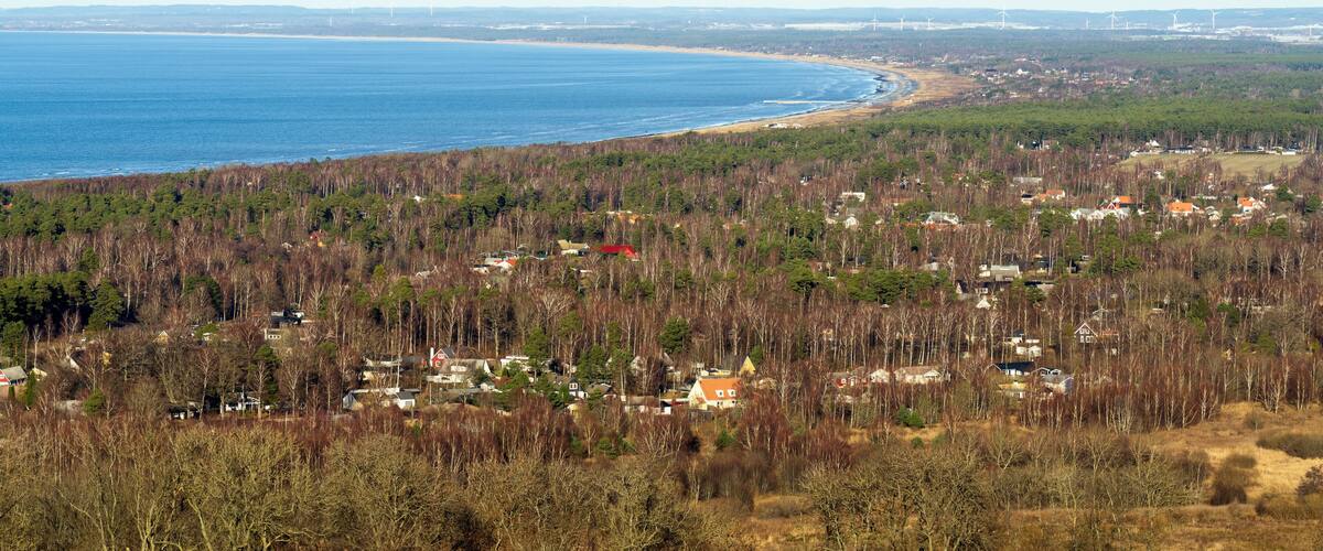 A coastal landscape with a forested area, houses, and wind turbines in the distance.