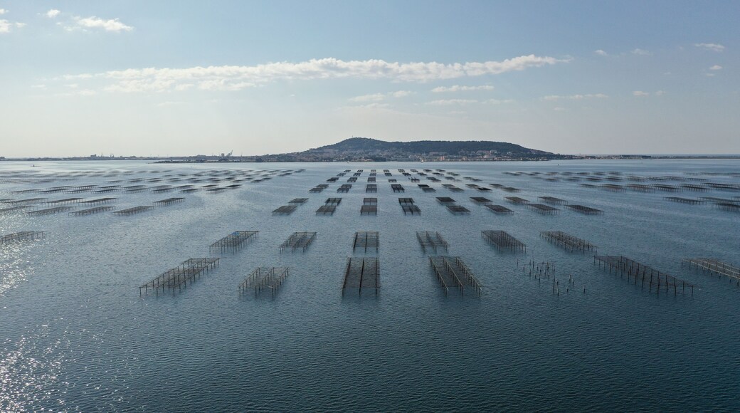 survol des parcs à huitres à Sète au dessus du bassin de Thau en Occitanie
