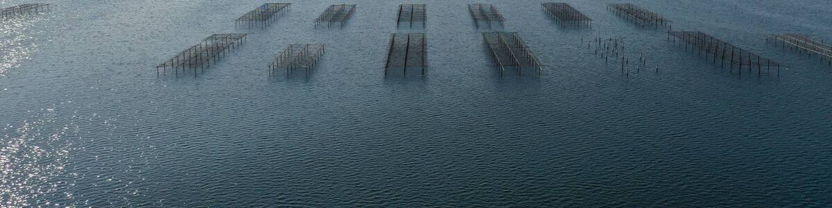 survol des parcs à huitres à Sète au dessus du bassin de Thau en Occitanie