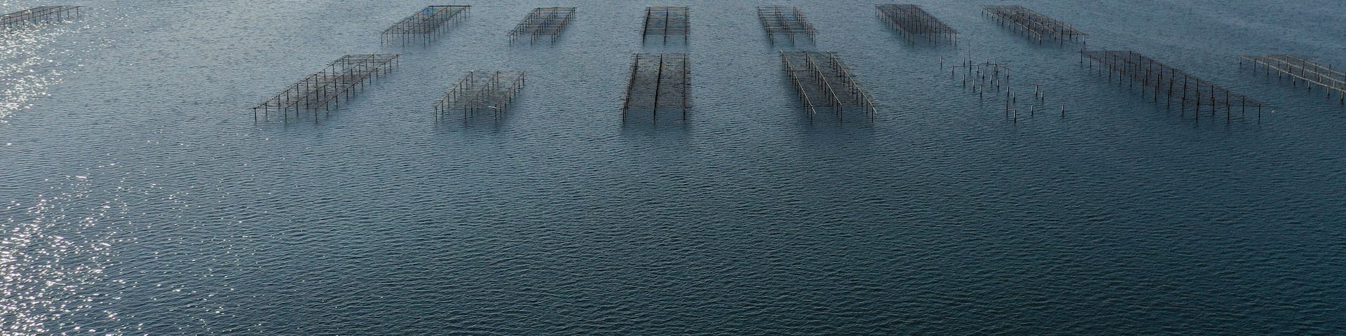 survol des parcs à huitres à Sète au dessus du bassin de Thau en Occitanie