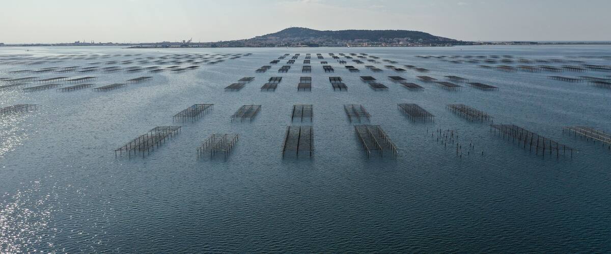 A large body of water with numerous floating structures.