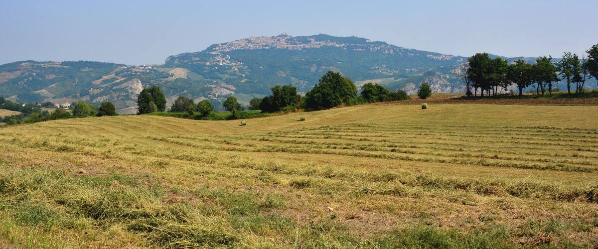 A grassy field with rolling hills and a mountain in the background.