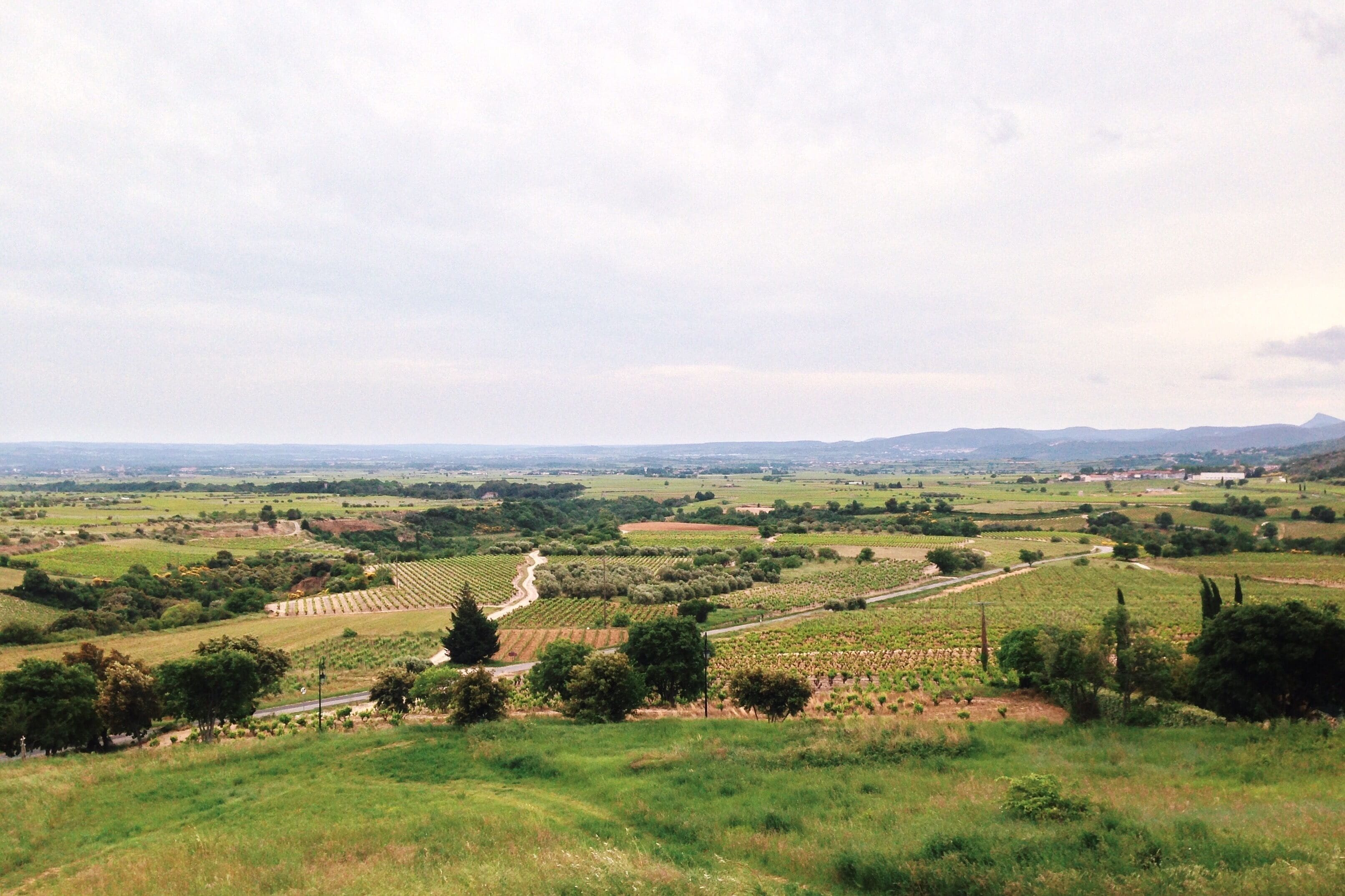 Processed with VSCOcam with k3 preset