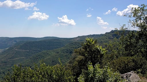 English: Valley of Abeil.