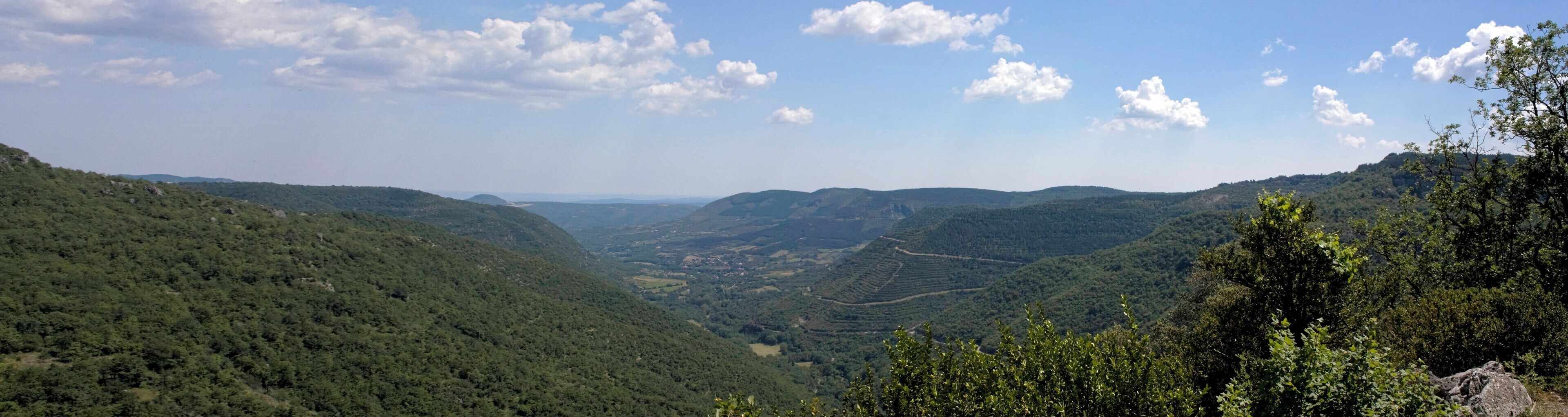 A valley with dense forest, rolling hills, and a winding road.
