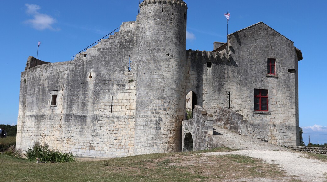 Charente-Maritime - Saint-Jean d'Angle - Château Médiéval