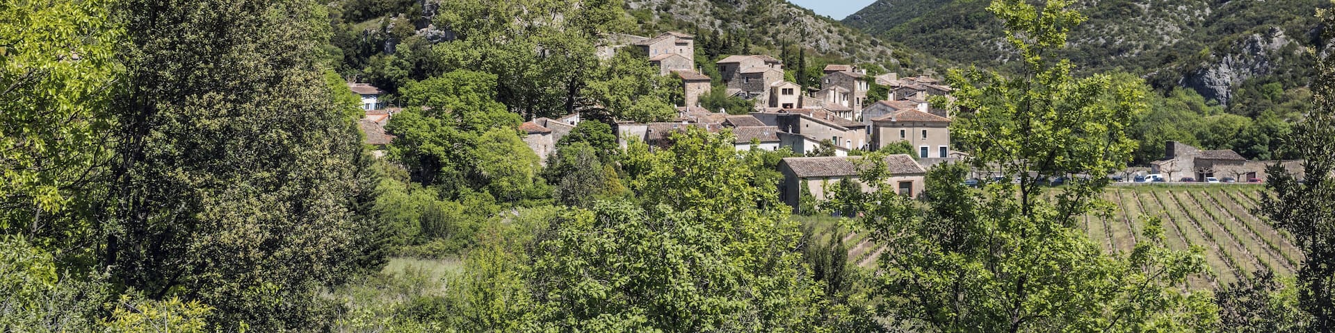The village of Saint-Jean-de-BuÚges, Hérault, France