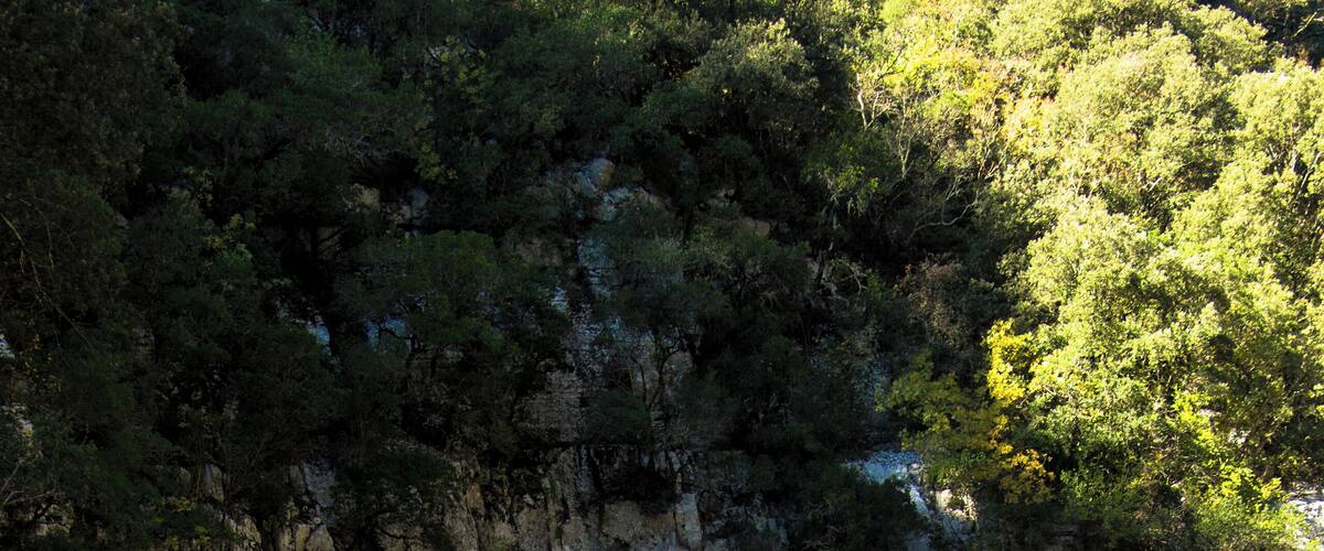 A rocky landscape with a small body of water surrounded by large boulders and dense foliage.