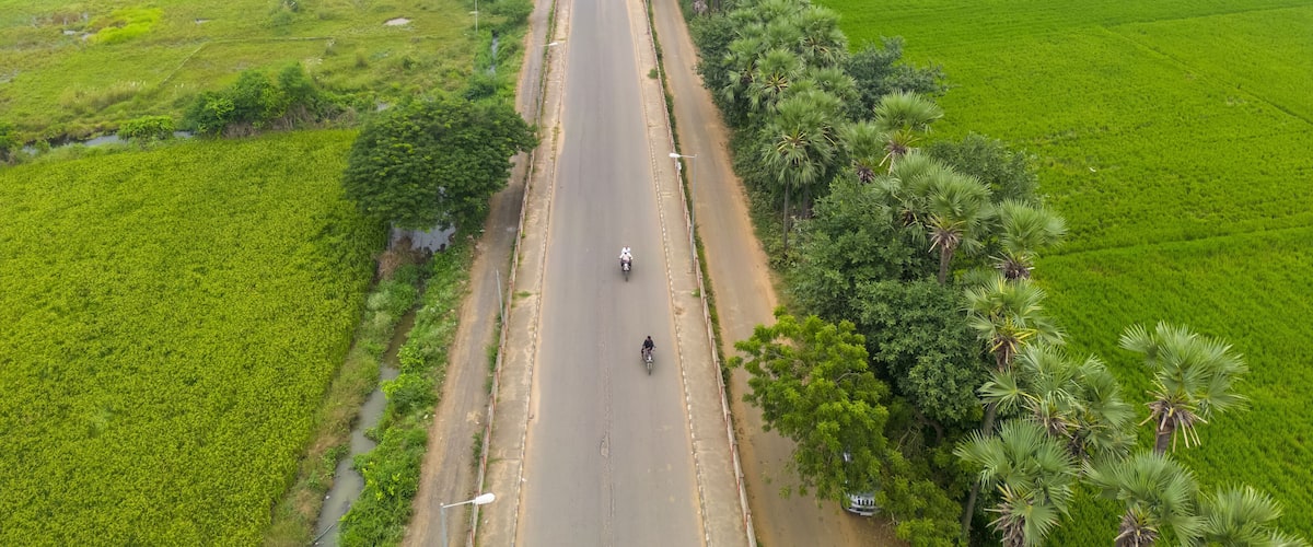 Aerial view of rural road passing through paddy fields in Guntur district, Andhra Pradesh state in India.