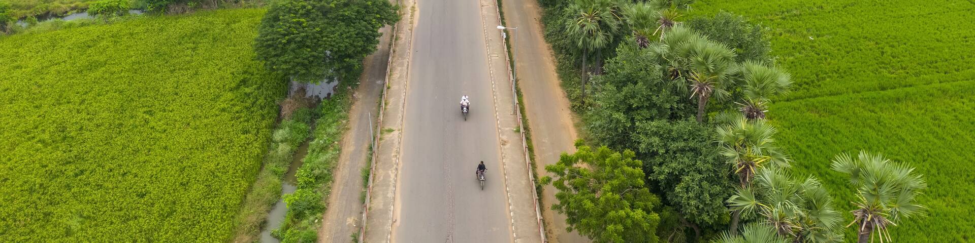 Aerial view of rural road passing through paddy fields in Guntur district, Andhra Pradesh state in India.