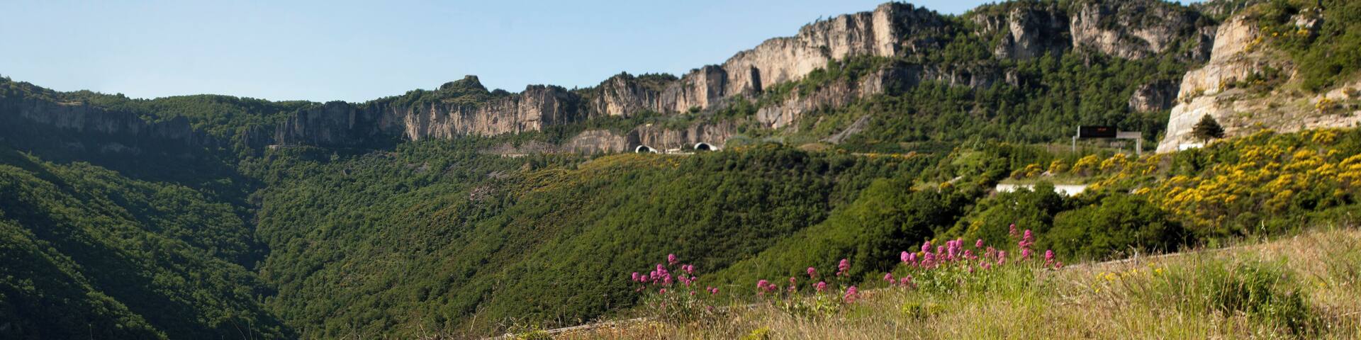The cliffs of the Pas de l'escalette mark the southern limit of the Larzac plateau. View from the belvédère of Pégairolles-de-l'Escalette.