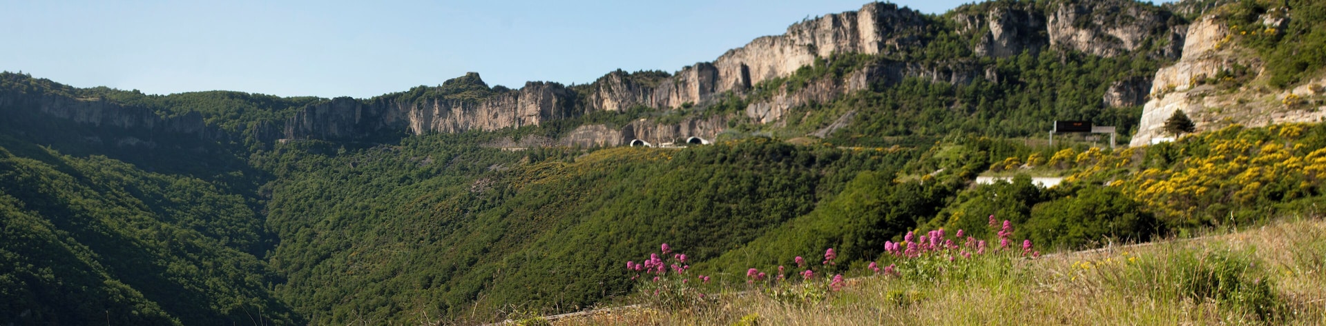 The cliffs of the Pas de l'escalette mark the southern limit of the Larzac plateau. View from the belvédÚre of Pégairolles-de-l'Escalette.
