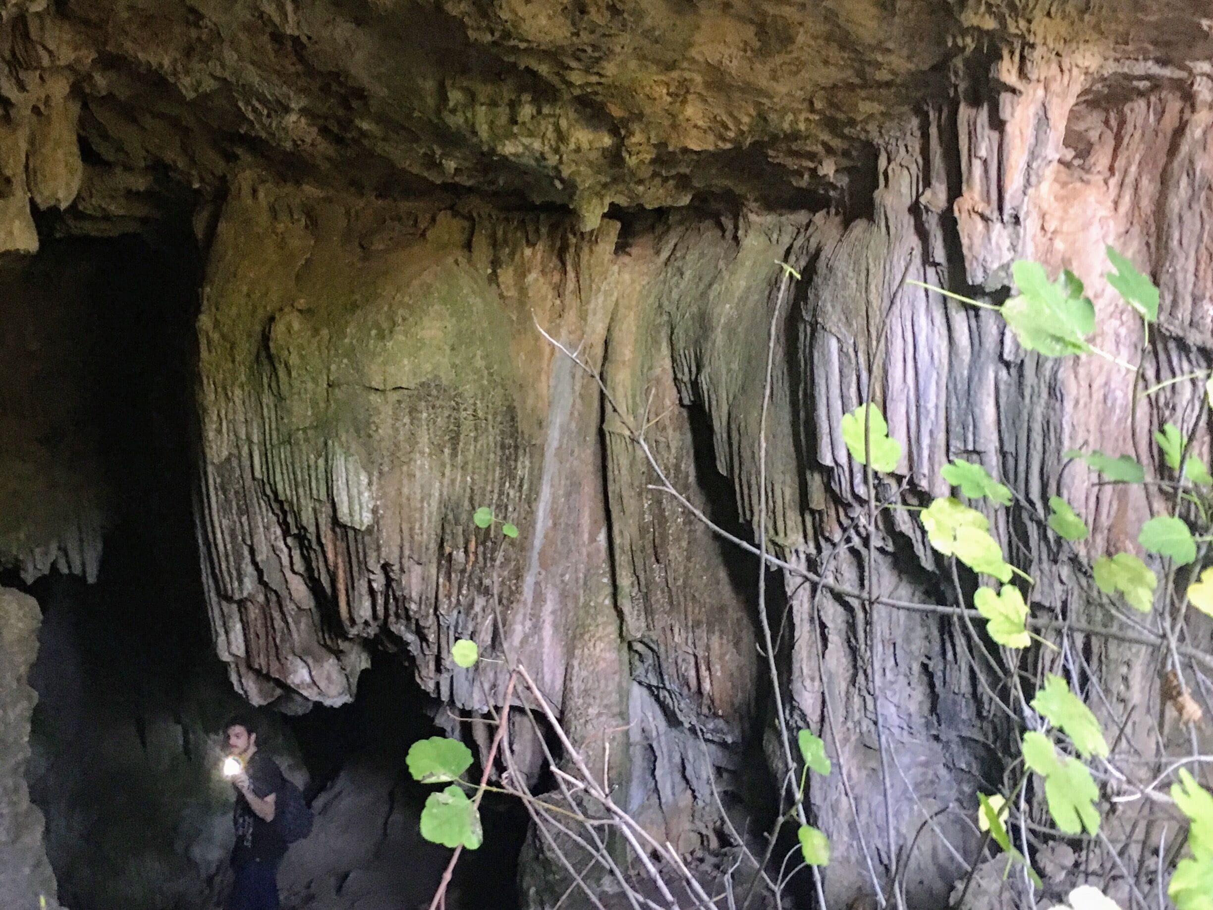 A cave with stalactites and stalagmites, a person holding a flashlight, and green foliage.
