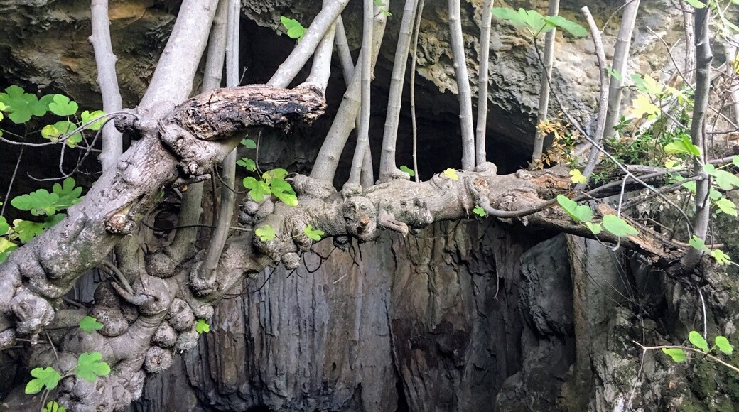 Entrée de la grotte des fées