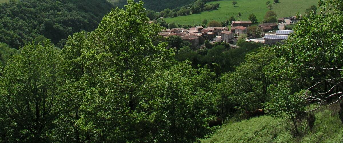 A village nestled in a valley surrounded by lush green hills.