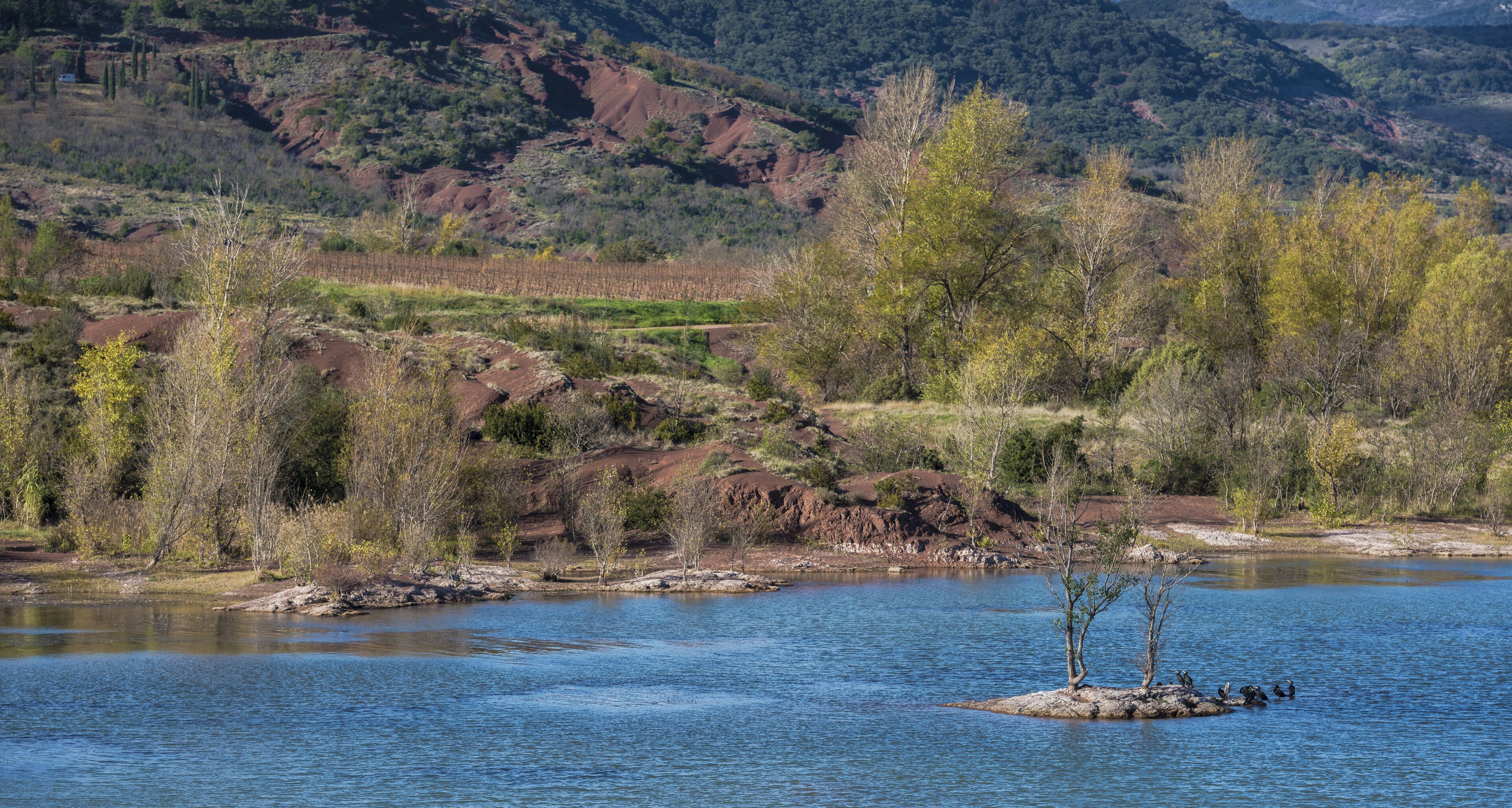 A river with a small island in the middle, surrounded by trees and hills.