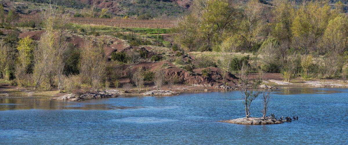 A river with a small island in the middle, surrounded by trees and hills.