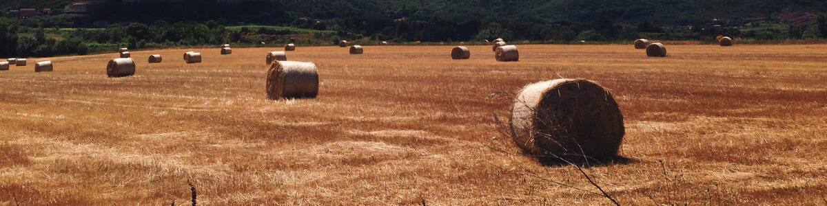 Processed with VSCOcam with k2 preset