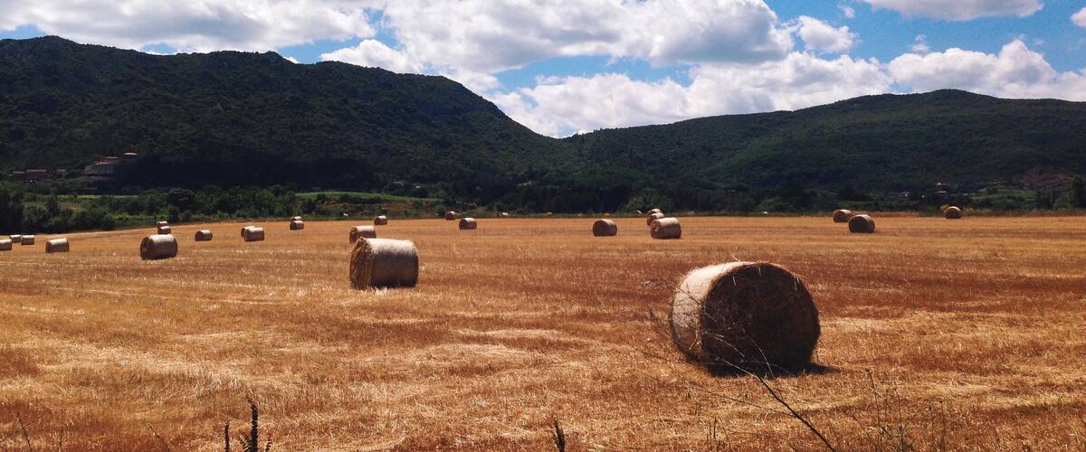 Processed with VSCOcam with k2 preset