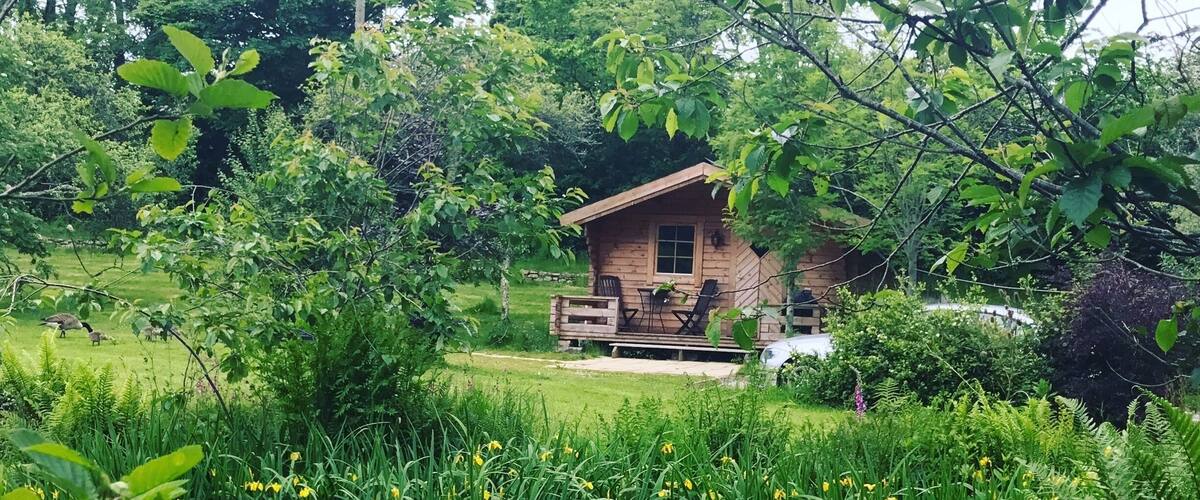 A wooden cabin surrounded by lush greenery and yellow flowers.