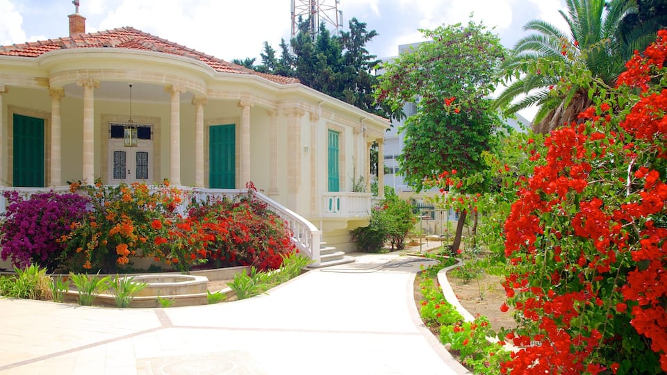 Paphos showing flowers, an administrative buidling and a park