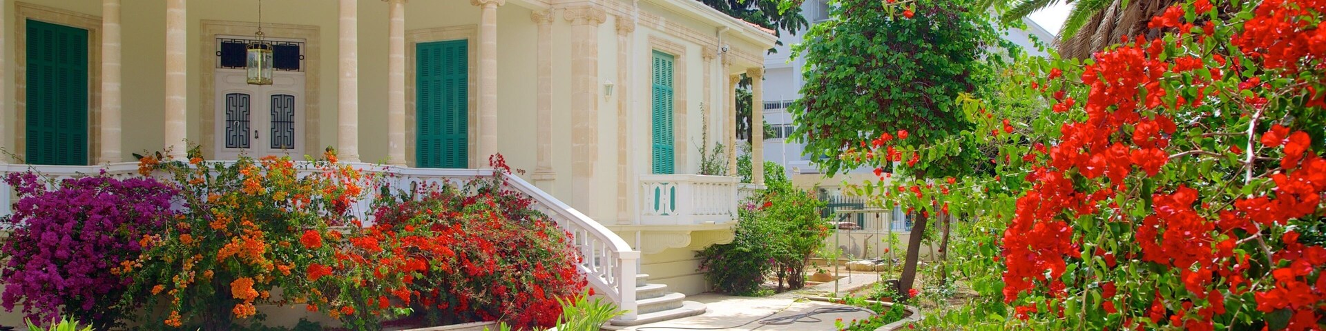 Pafos ofreciendo flores, un jardín y un edificio administrativo