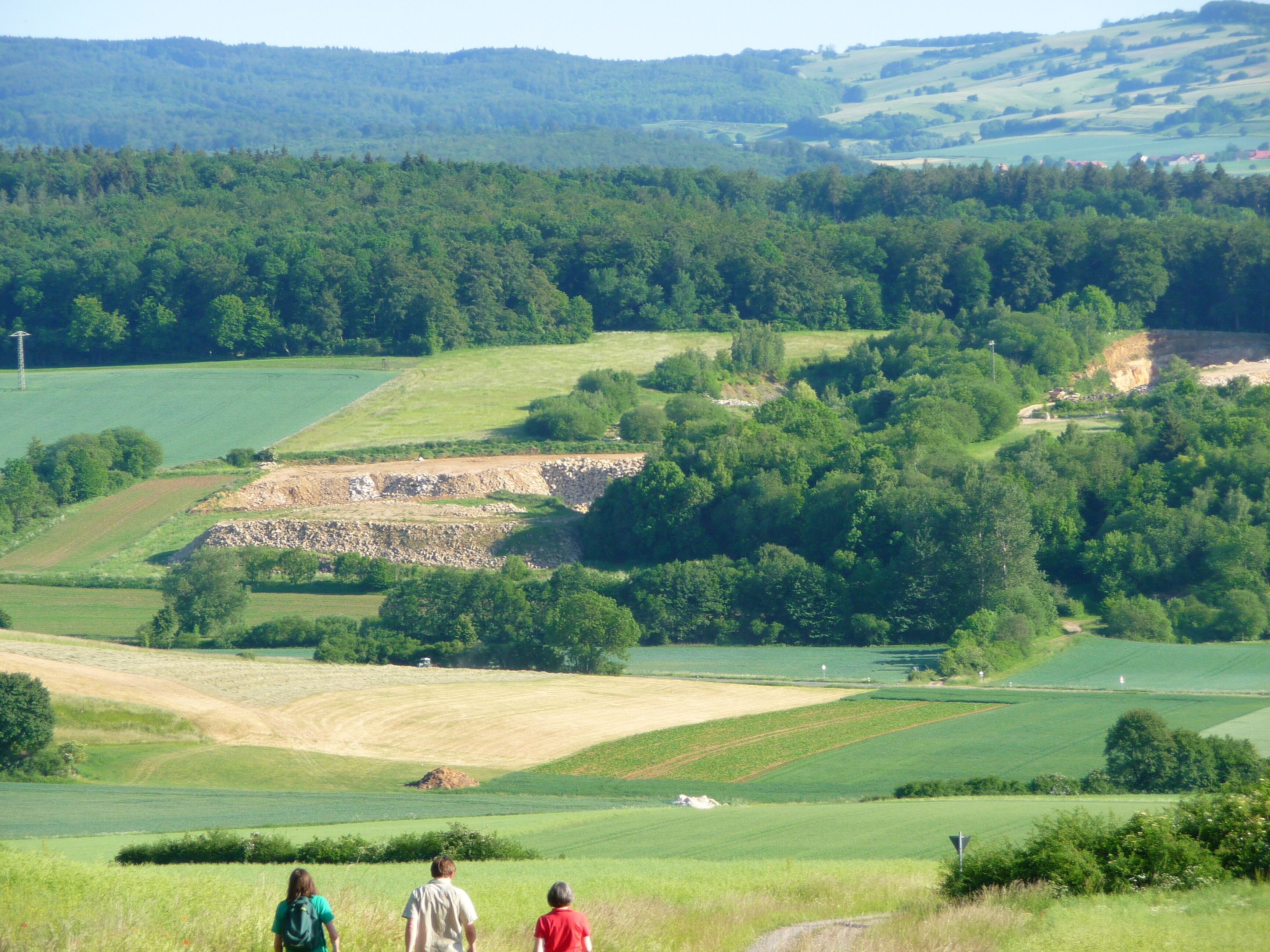 Thüster Burg vom Thüster Berg