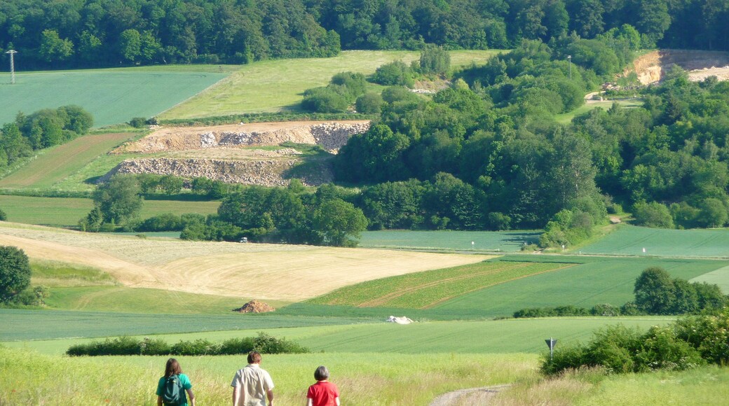 Thüster Burg vom Thüster Berg