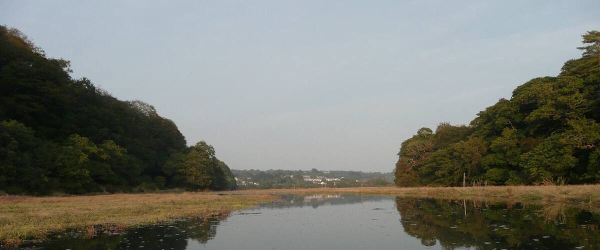 A calm river flanked by dense trees, viewed from a kayak.