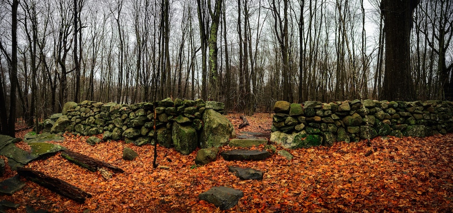 New England Winter Forest Panoramic Landscape with lichen-covered stone walls, bare trees, and fallen foliage on the footpath, lonesome tranquility scenery