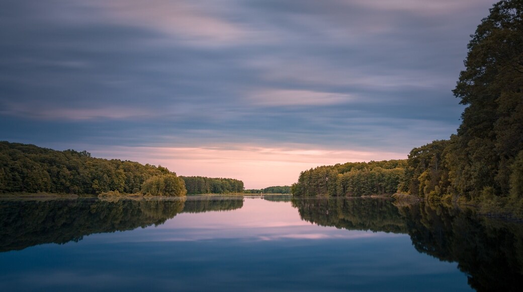 Peaceful and quiet place. Bring some bug spray!