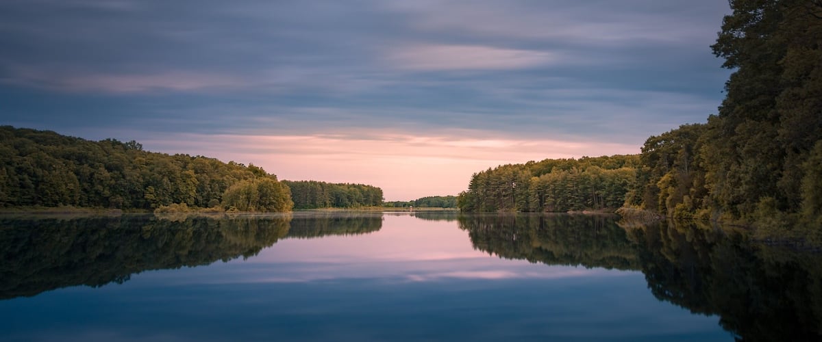 Peaceful and quiet place. Bring some bug spray!