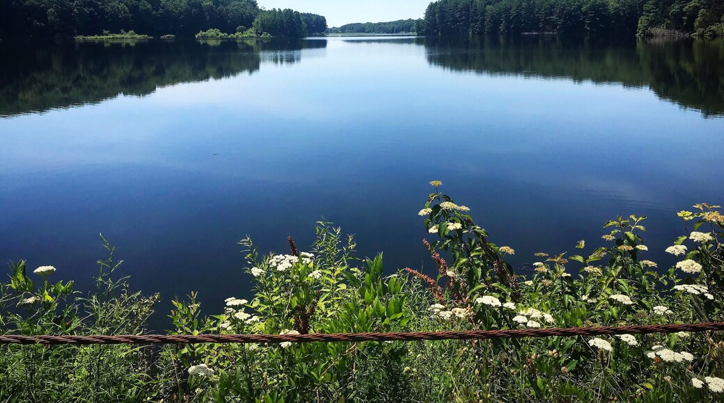 Huckleberry Rd Wilton CT, Norwalk Reservoir
#adventure
#adventurephotocontest
