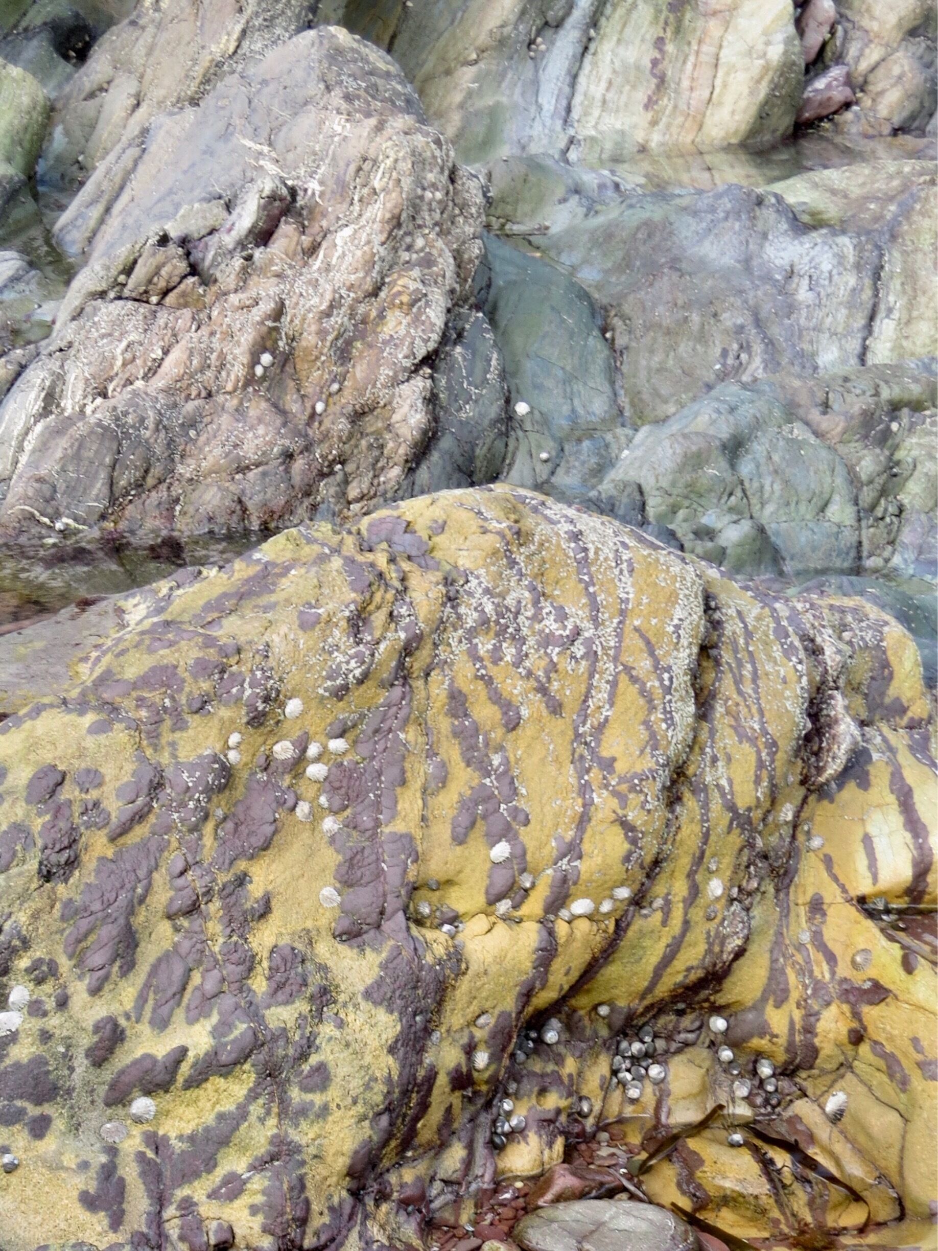 Sandway Beach, kingsand Cornwall.  A winter walk on the beach which has the Southwests only exposed lava flow of rhyolite rock from volcanic action about 250 million years ago.