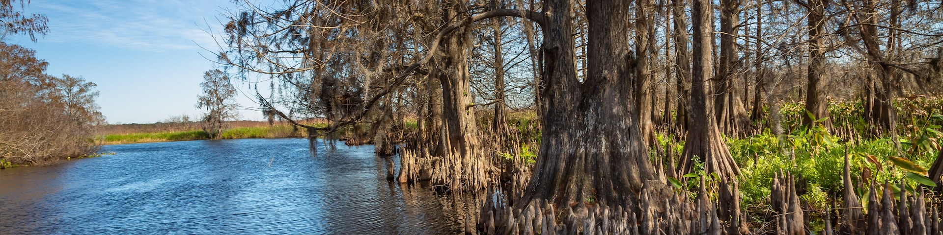 Everglades Landscapes. Orlando Wetlands landscapes exposure while doing a airboat tour