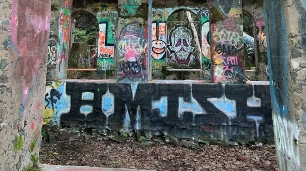 Very cool old arches with graffiti— the old compressor house. There are supposedly mines/tunnels nearby too. Follow the trail map to get to the sights, but beware of mosquitoes!