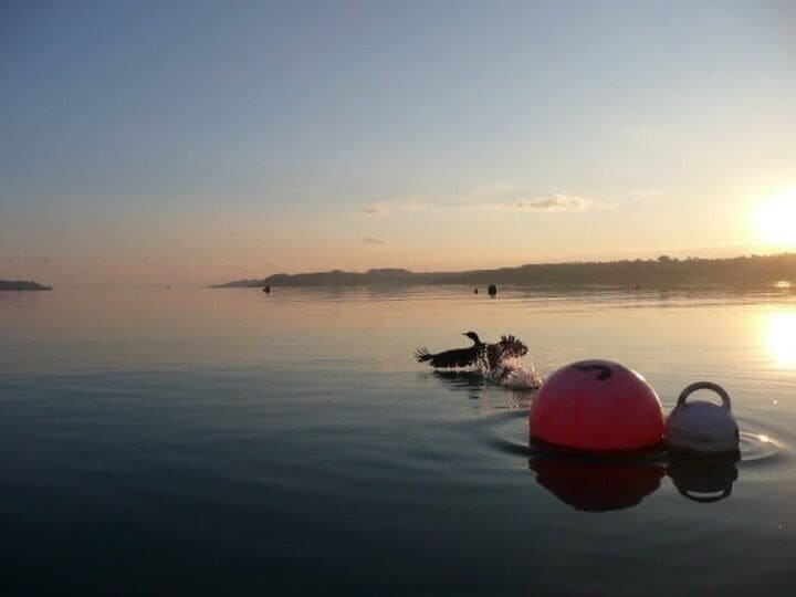 Mid Winter.  Just at the mouth of Pill Creek.