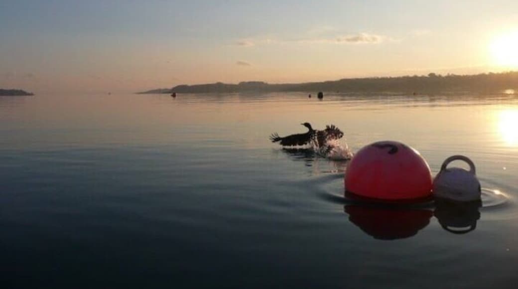 Mid Winter. Just at the mouth of Pill Creek.
