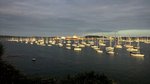 Evening light in the Penryn River