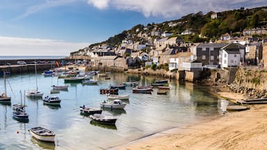 A coastal town with a harbor filled with boats, houses along the hillside, and a clear sky.