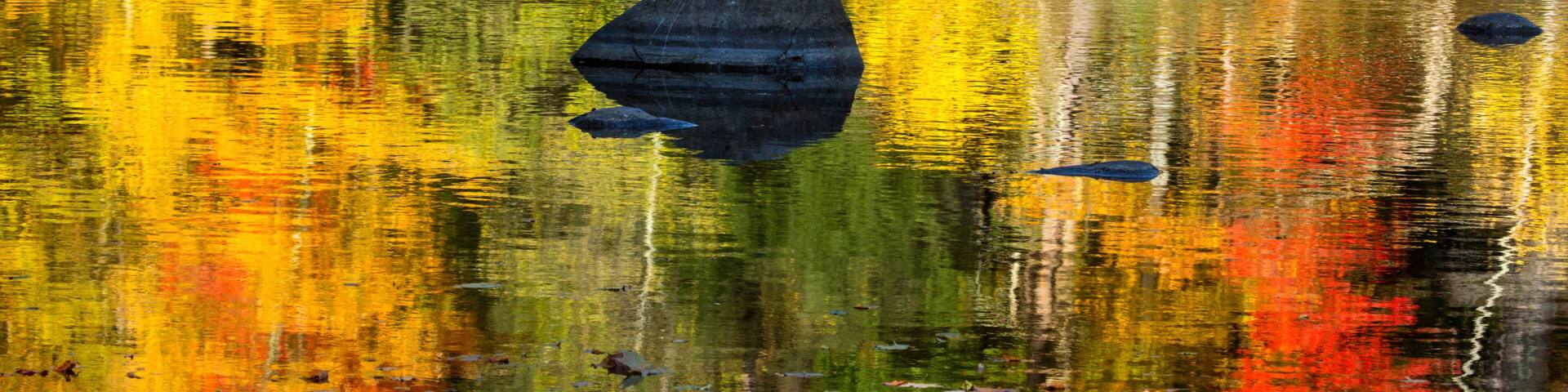 Vibrant fall colors in reflections on the Farmington River, Canton, Connecticut.