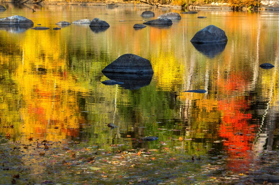Vibrant fall colors in reflections on the Farmington River, Canton, Connecticut.