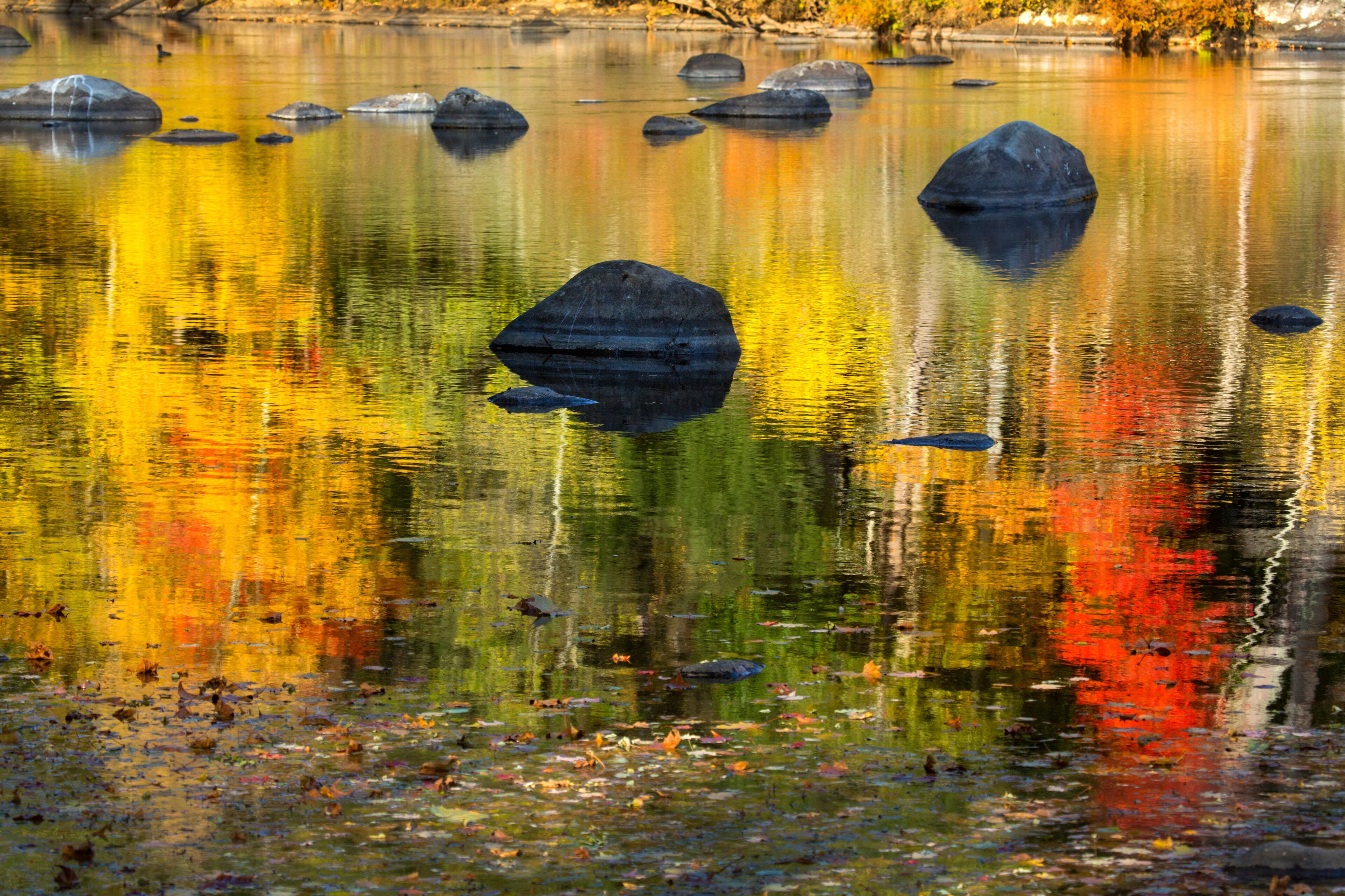 A calm lake with large rocks and autumn leaves reflecting on the water's surface.
