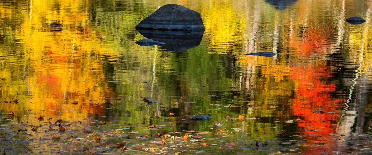 A calm lake with large rocks and autumn leaves reflecting on the water's surface.
