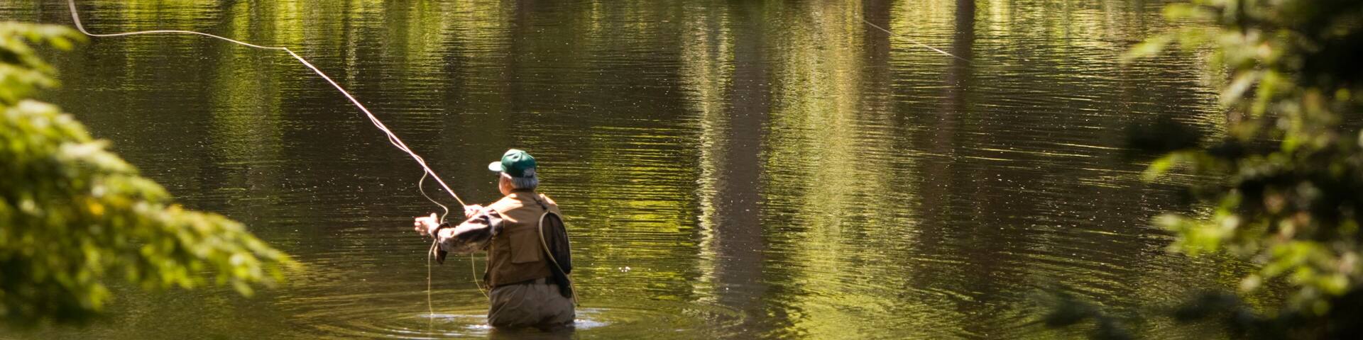 Man Fly Fishing Farmington River, Conn.