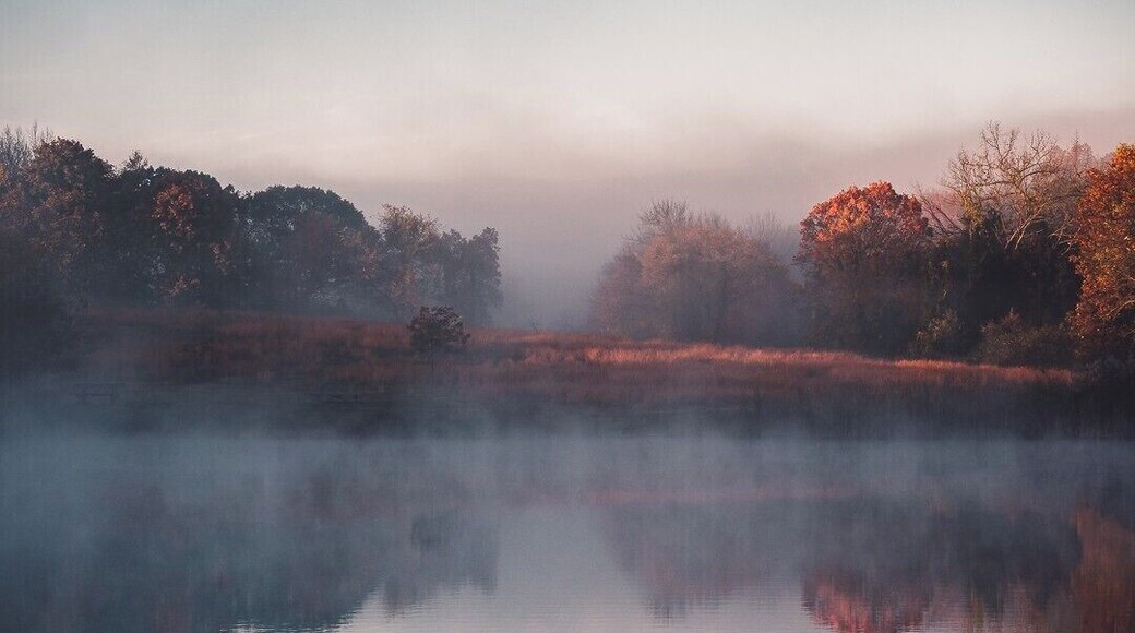Hiking trails and fishing at the pond. A nice location for sunrise in the fall.