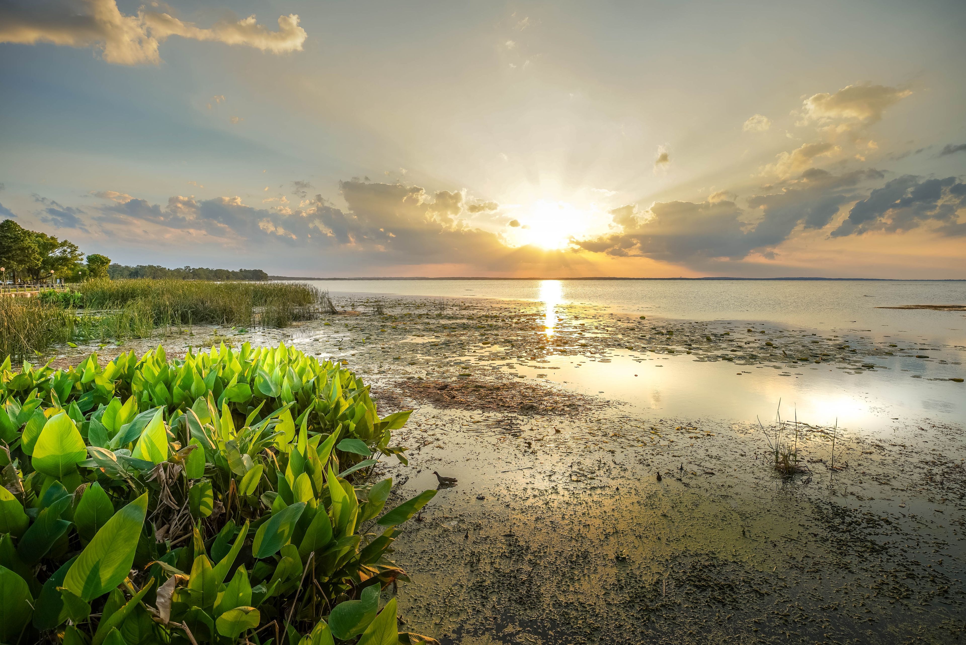 A sunset over a calm lake with green vegetation in the foreground.